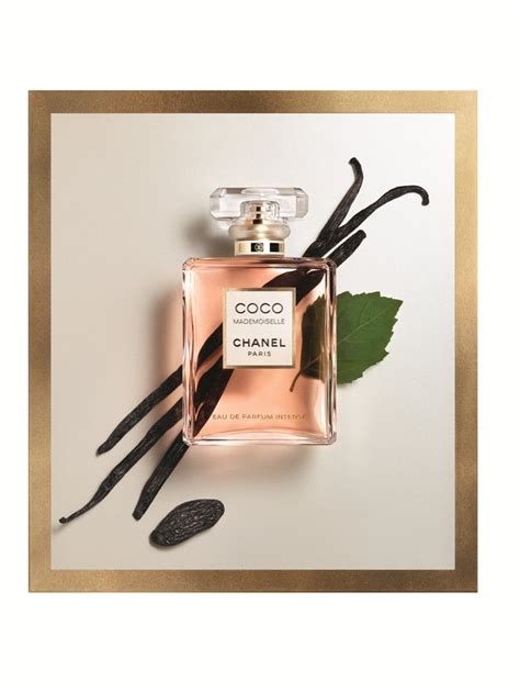 coco chanel no 5 nuty zapachowe|coco mademoiselle chanel cena.